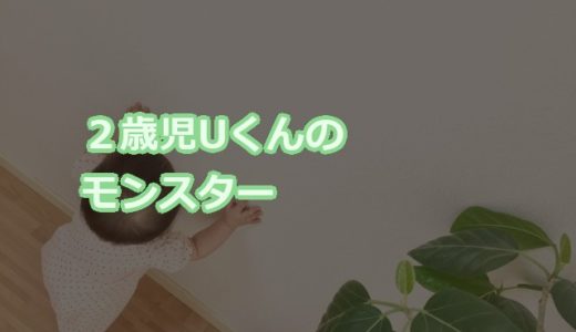 ２歳児男子Ｕくんのモンスターぶり２